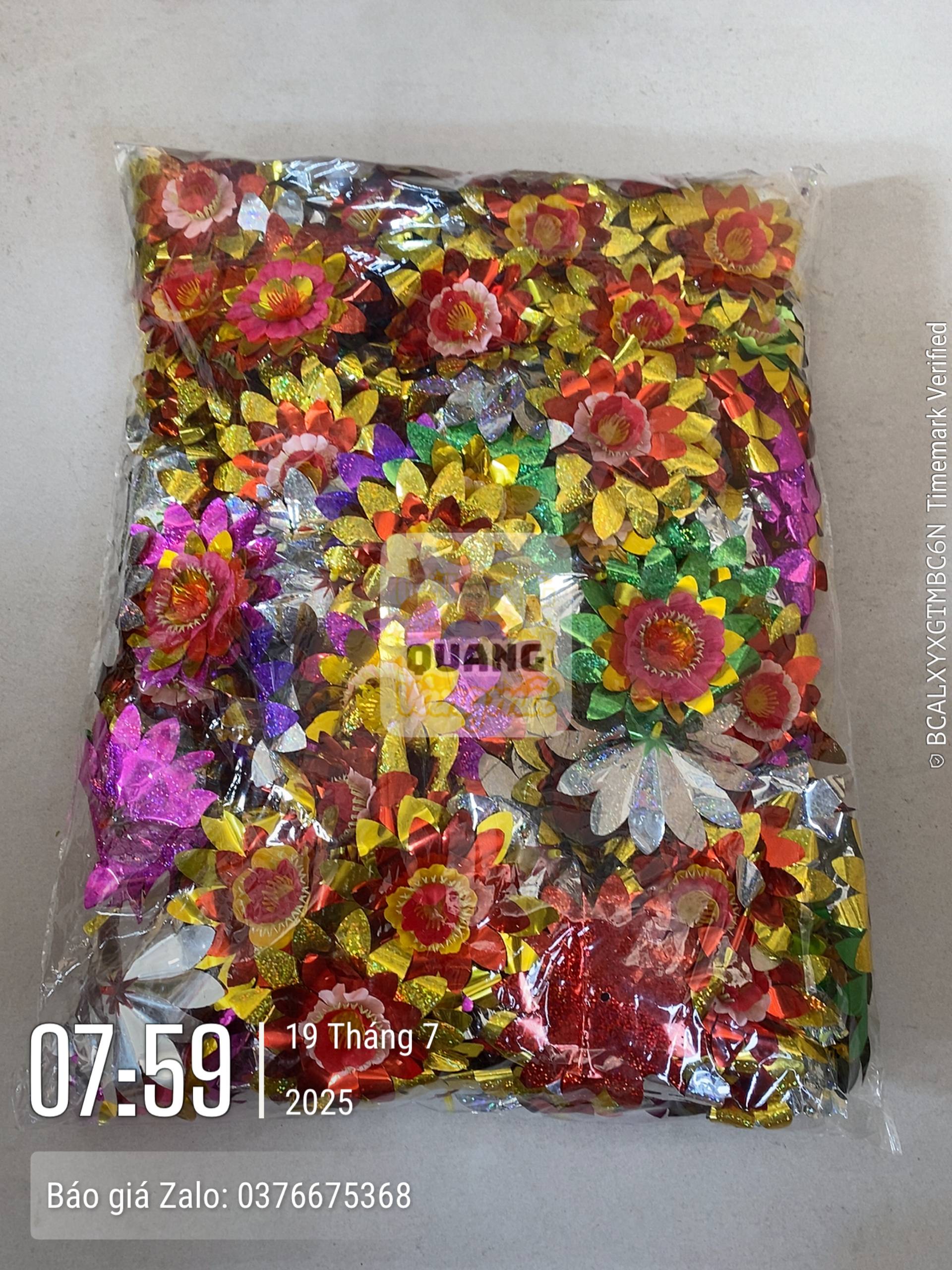 Phụ kiện 31